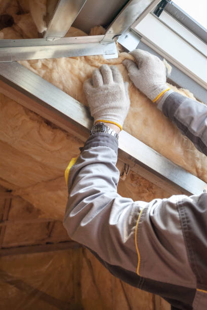 Best Insulation Installation Services in Lolo, MT