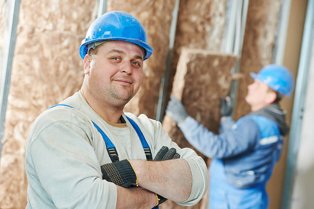 Best Insulation Maintenance and Repair in Lolo, MT